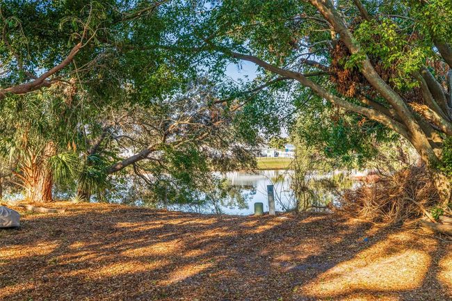 backyard | Image 34