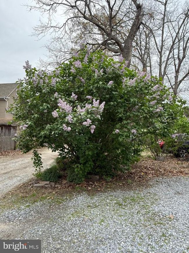 42 4 Th Ave, House other with 3 bedrooms, 3 bathrooms and null parking in PITMAN NJ | Image 26