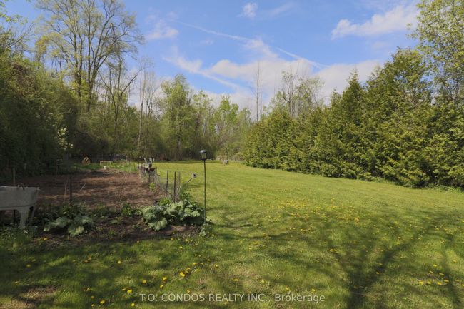 692 N Shore Dr E, Home with 0 bedrooms, 0 bathrooms and null parking in Bailieboro ON | Image 8