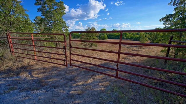 0 Deen Rd, Home with 0 bedrooms, 0 bathrooms and null parking in Bowie TX | Image 7