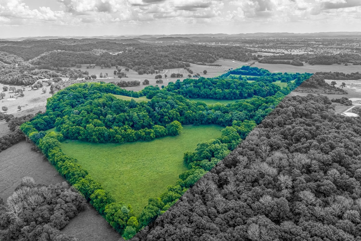 Land in Spring Hill