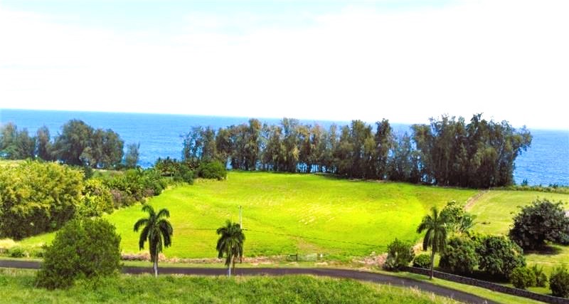 Land in Pepeekeo