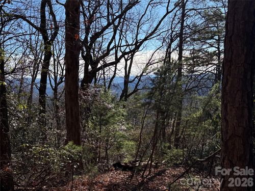 27-TBD Bobcat Mountain Road, Purlear, NC, 28665 | Card Image