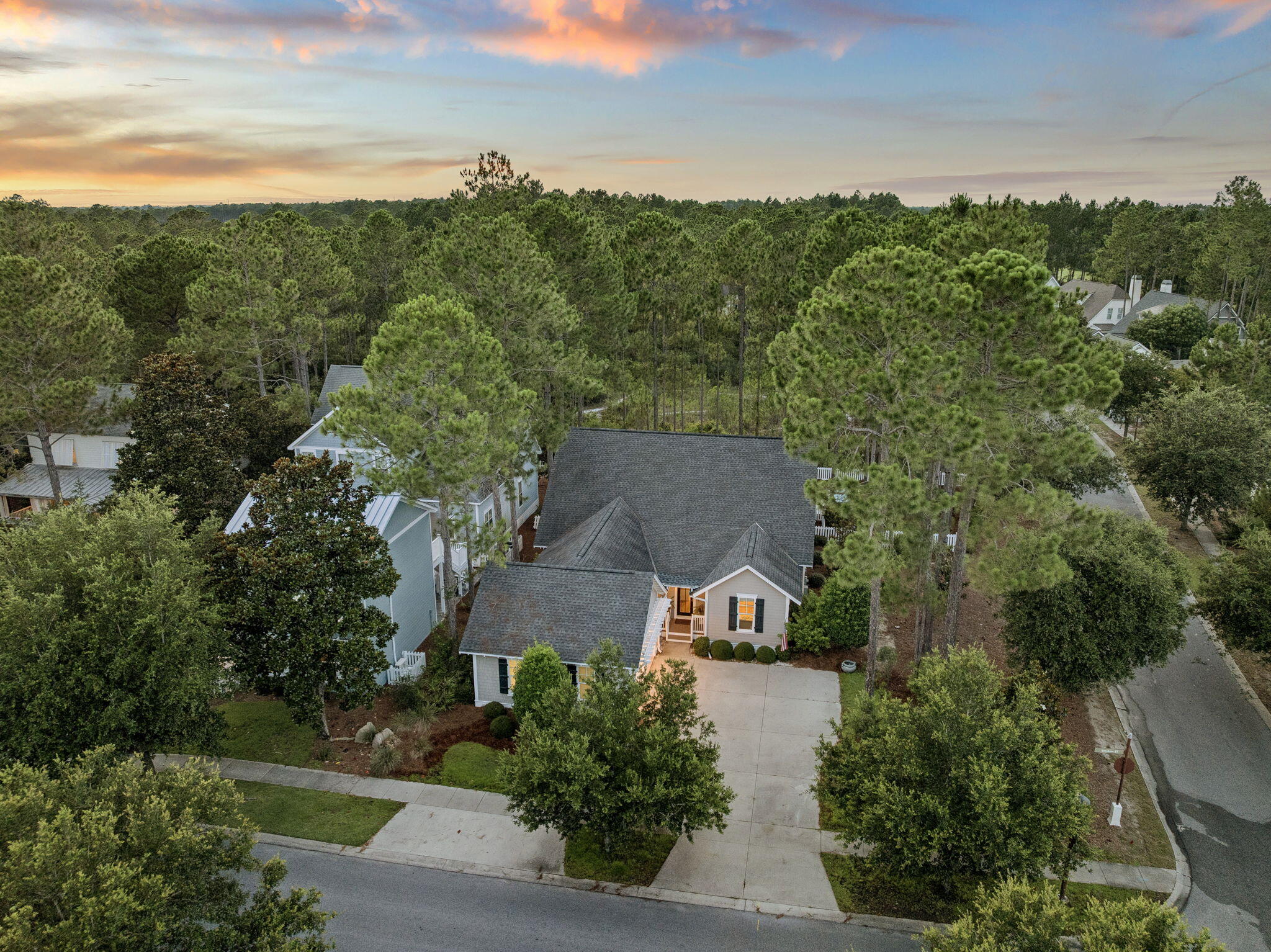 Residential in Inlet Beach 5