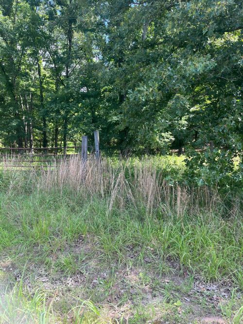 12702 Cranfield Rd, Birchwood, TN, 37308-5007 | Card Image