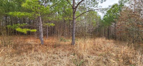 0 County Road 380, Killen, AL, 35645 | Card Image