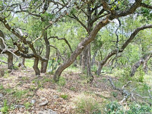 25726 Echo Mtn, San Antonio, TX, 78260-6298 | Card Image