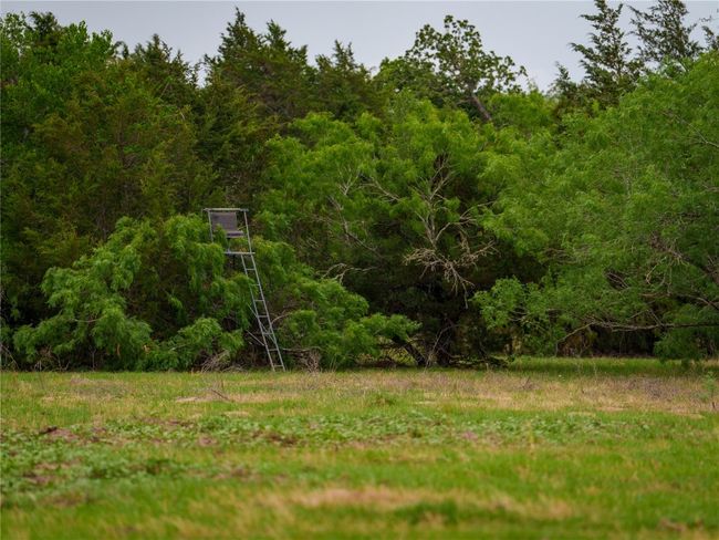 View of wooded area | Image 25