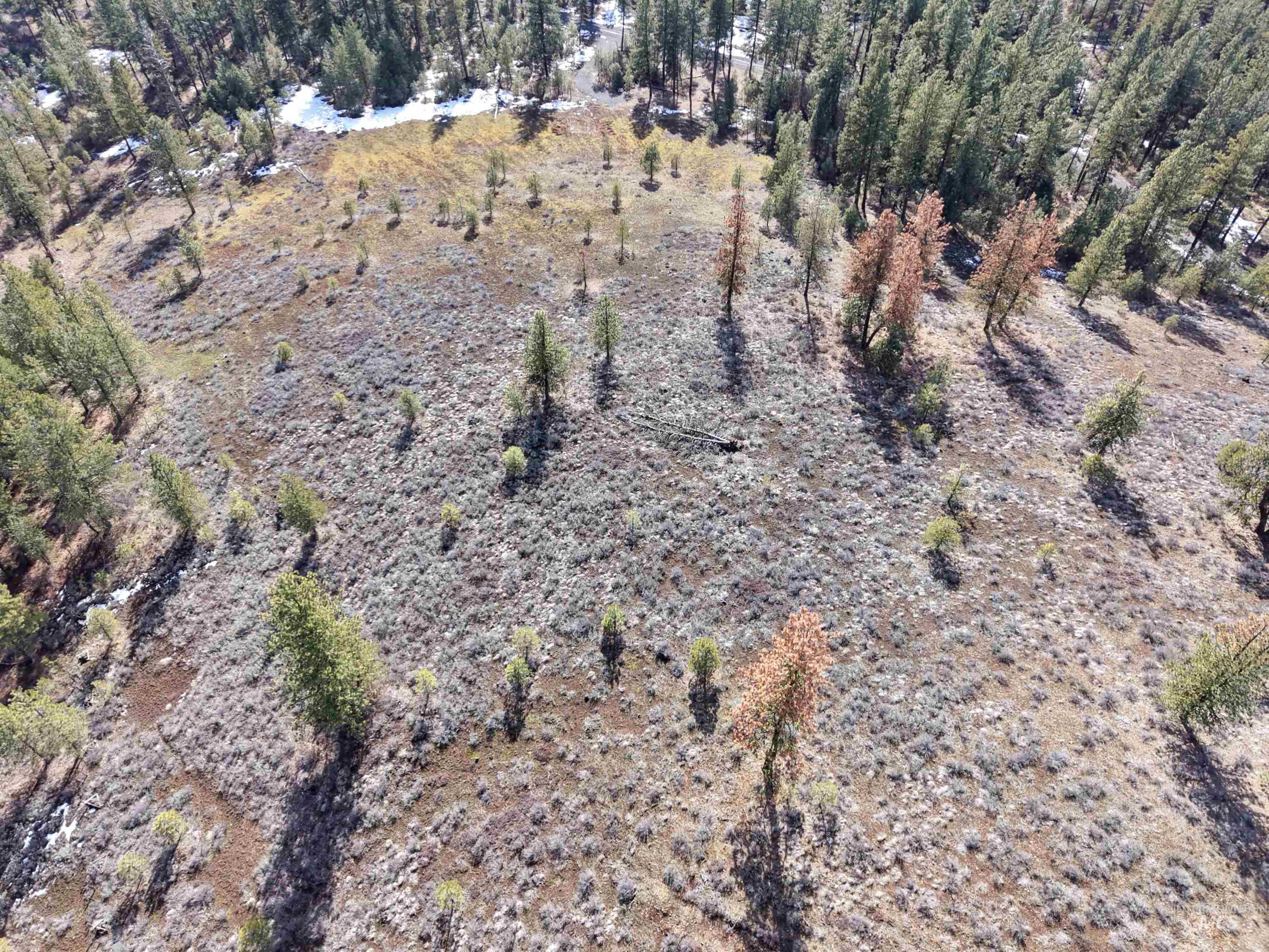 Land in New Meadows 3