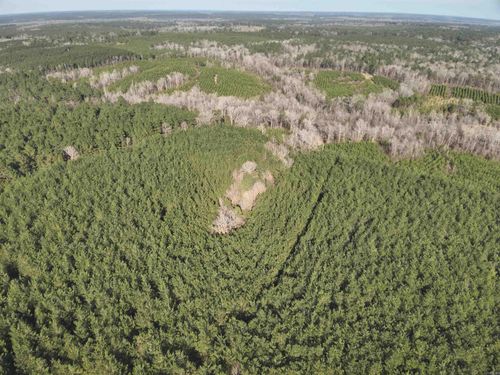 17-15-19 Frog Shack Rd, Stephens, AR, 71764 | Card Image