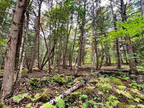 0 Kidder Rd, Bradford, VT, 05033 | Card Image