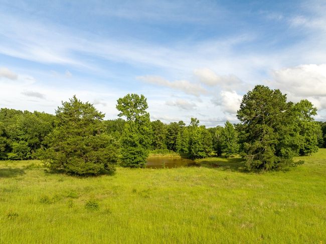 View of woods | Image 13