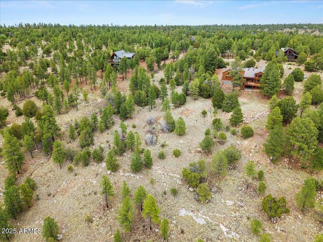 718 Kohners Ridge Dr, House other with 6 bedrooms, 4 bathrooms and null parking in Happy Jack AZ | Image 61