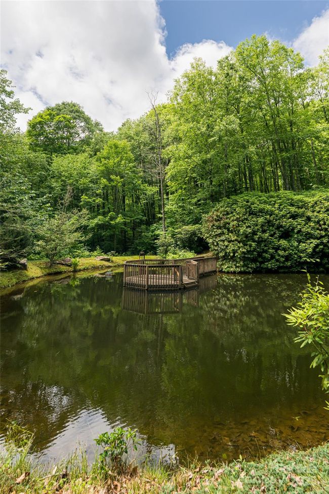 trout pond | Image 45