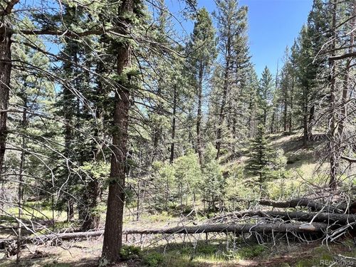 437 Sunset Ln, Cripple Creek, CO, 80813-9683 | Card Image