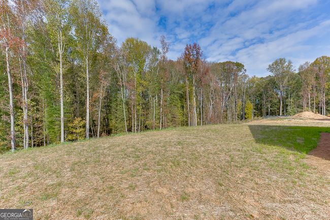 B16 - 258 Franklin Hills Dr, House other with 3 bedrooms, 2 bathrooms and 4 parking in Carnesville GA | Image 37