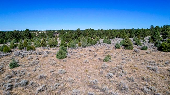 Lot 4 Sunset Ridge Road, Home with 0 bedrooms, 0 bathrooms and null parking in Newcastle WY | Image 18