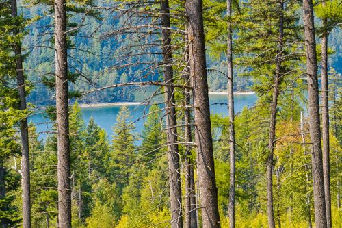 19210 Mt Highway 83, Bigfork, MT, 59911 | Card Image