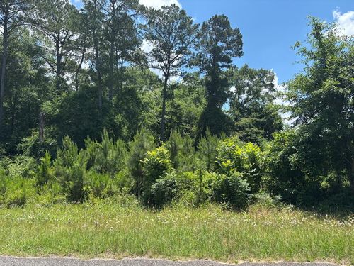 0 Pataula Park Rd, Georgetown, GA, 39854 | Card Image
