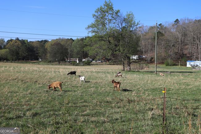 431 Williams Cemetery Rd, House other with 3 bedrooms, 2 bathrooms and null parking in Trion GA | Image 8