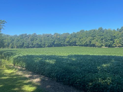 130 Osborn Rd, Bronson, MI, 49028-9317 | Card Image