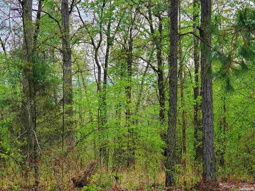 lot 770A Plum Hollow Blvd, Hot Springs National Park, AR, 71913 | Card Image