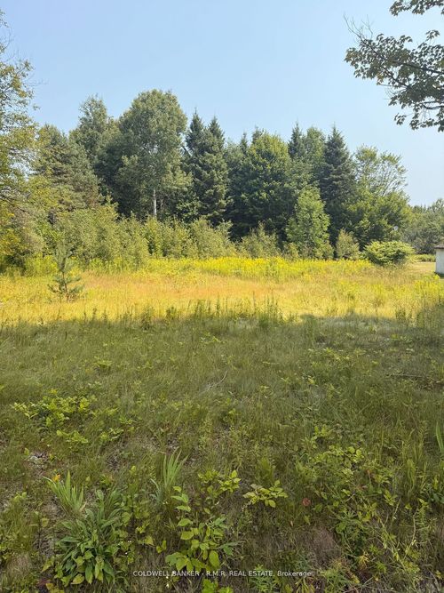 3995 Boulter Rd, Bancroft, ON, K0L1C0 | Card Image