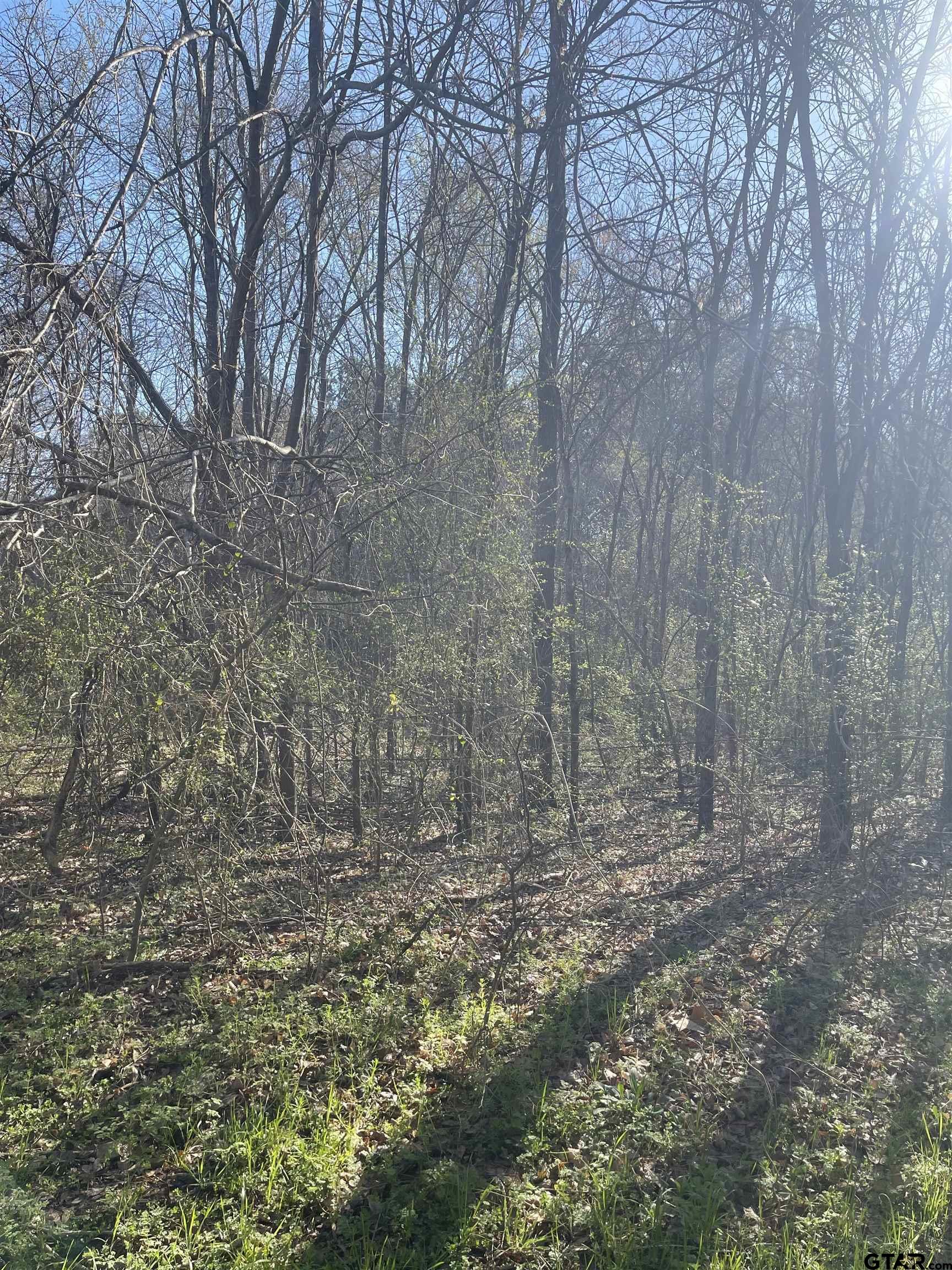 Land in Troup 5