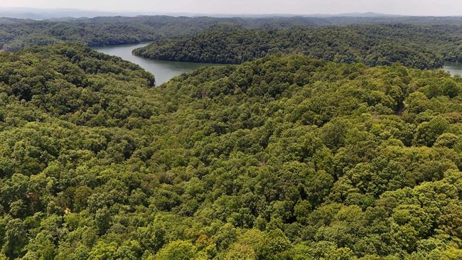 9999 Chestnut Hills Rd, Home with 0 bedrooms, 0 bathrooms and null parking in Burkesville KY | Image 6