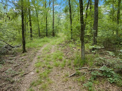 TBD Private Road 5040, Bogata, TX, 75417 | Card Image