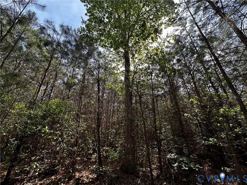 00 N Turnpike Rd, Bohannon, VA, 23109 | Card Image