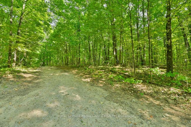 1083 Lindey Lane, Home with 0 bedrooms, 0 bathrooms and null parking in North Frontenac ON | Image 5