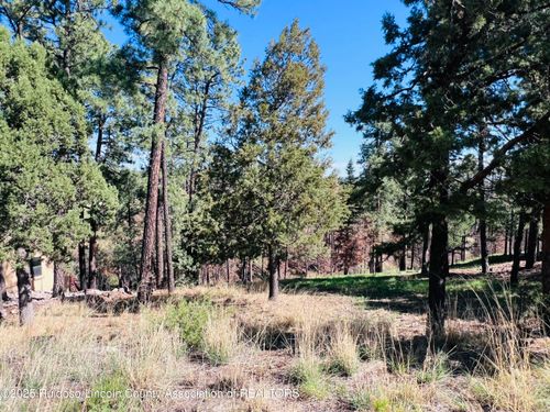 7 High Mesa Rd, Alto, NM, 88312 | Card Image
