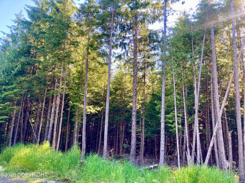 L2 Coffman Heights Rd, Ketchikan, AK, 99950 | Card Image
