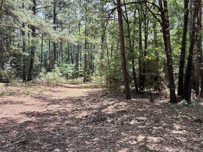 7481 County Road 232, Home with 0 bedrooms, 0 bathrooms and null parking in Richards TX | Image 11