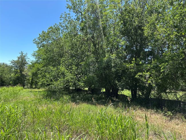 904 E Oak Ave, Home with 0 bedrooms, 0 bathrooms and null parking in Comanche TX | Image 5