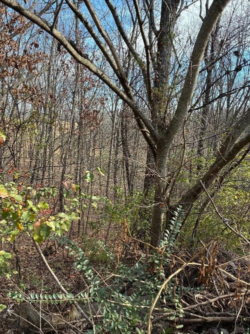 0 Poplar Dr, Sweetwater, TN, 37874 | Card Image