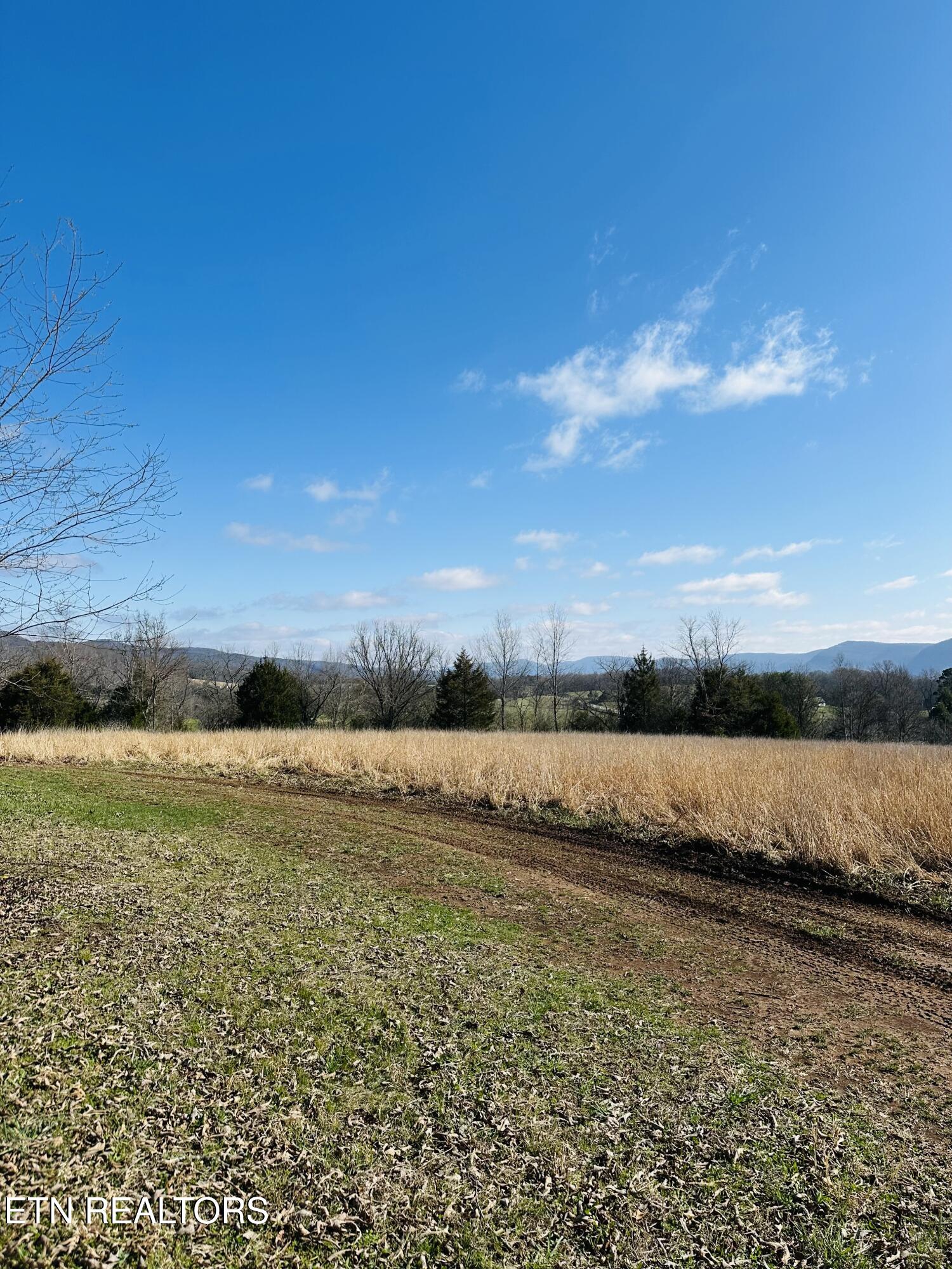 Land in Pikeville 3