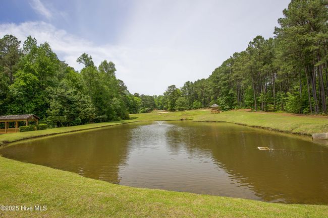 1471 Micahs Way N, House other with 3 bedrooms, 3 bathrooms and 2 parking in Spring Lake NC | Image 92