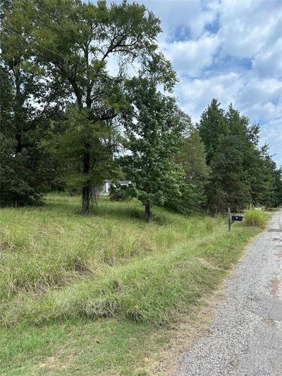 View of road | Image 2