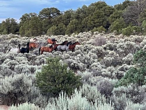 20 Bull Elk Rd, San Luis, CO, 81152 | Card Image