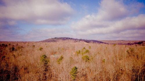 309 Tree House Trl, Dunlap, TN, 37327-6698 | Card Image