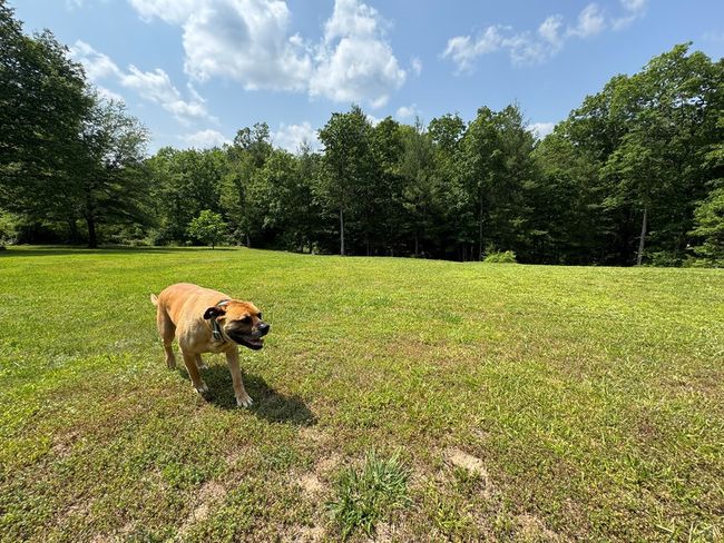 108 Hawn Dr, House other with 3 bedrooms, 2 bathrooms and null parking in Crab Orchard TN | Image 39