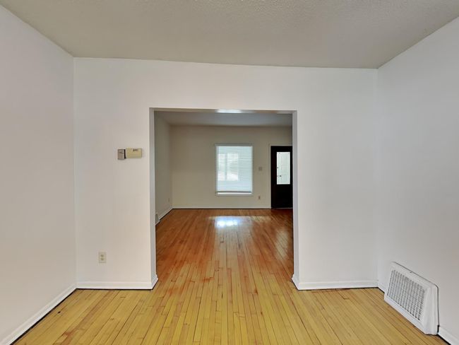 5.jpg | Image 5