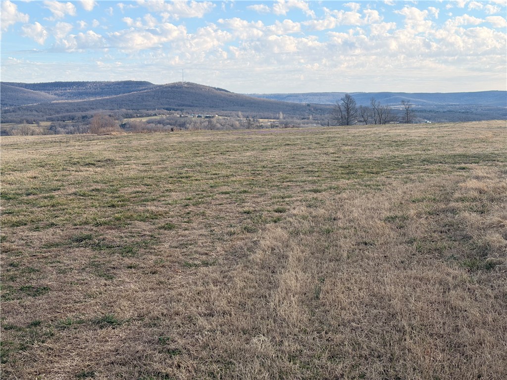 Land in Alpena 4