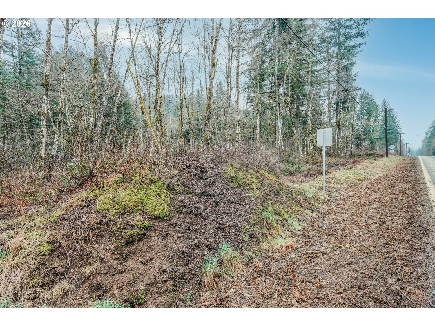 Land in Washougal 4