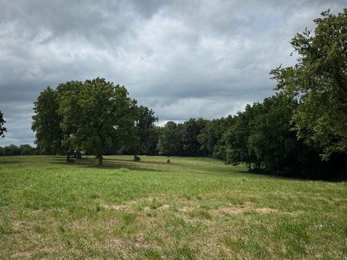 000 S 142nd Rd, Morrisville, MO, 65710 | Card Image