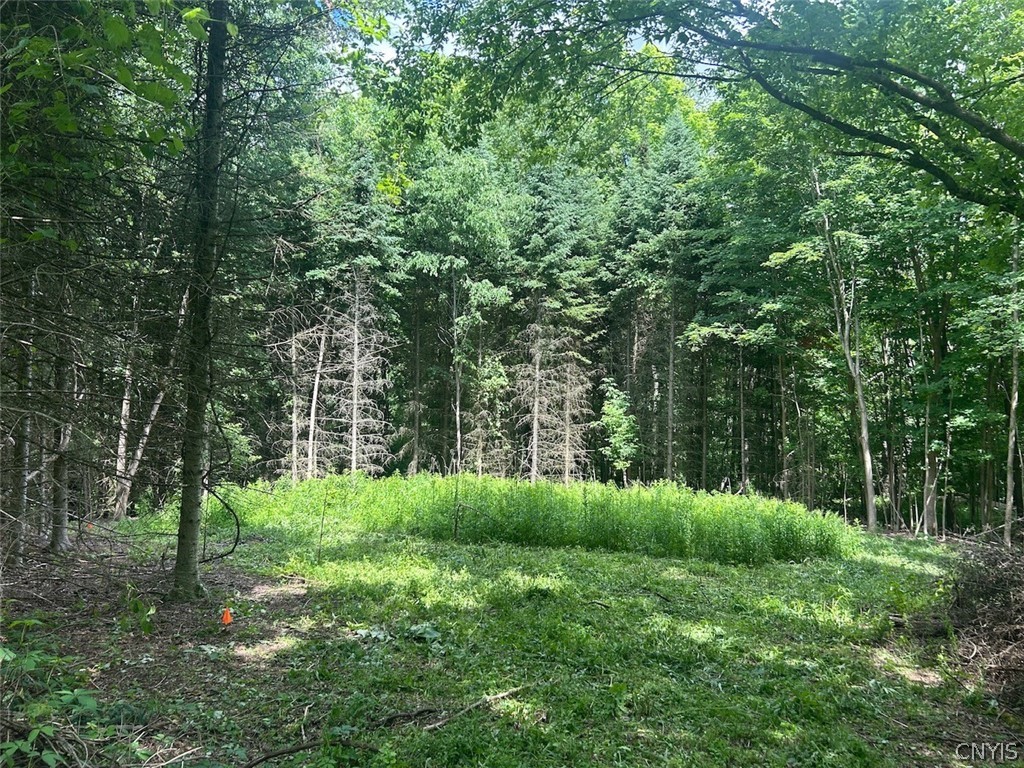 Land in Lafayette 2