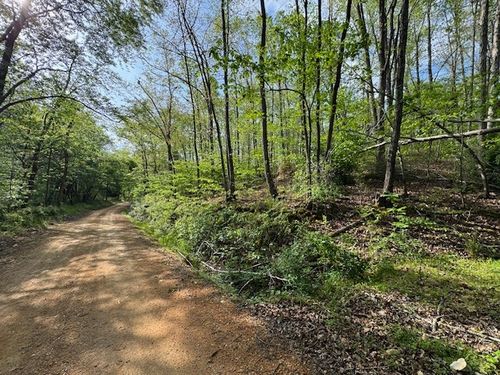 455 Moss Spring Hollow Road, Centerville, TN, 37033 | Card Image