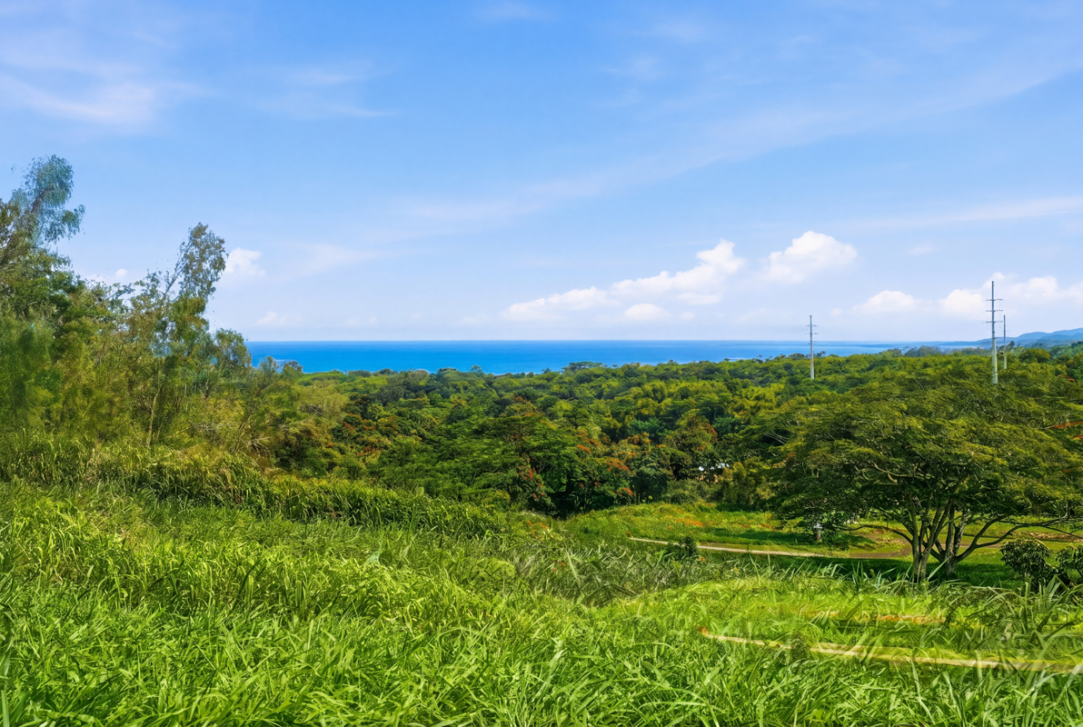 Land in Kapaa 4